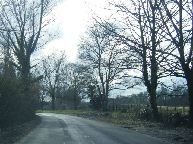 File:Cliveden Road looking south - Geograph - 4862402.jpg