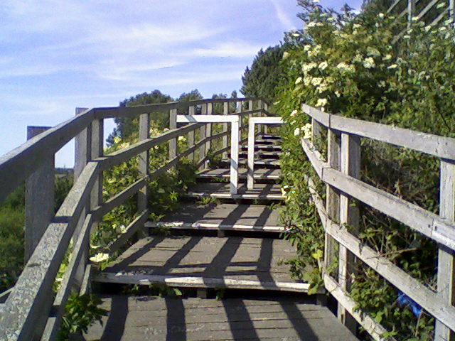 File:Steps West of Widnes (on NCN 62).jpeg