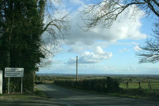 File:The R396 in County Longford - Geograph - 1796856.jpg