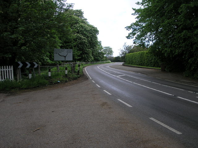 File:Winding Road to Leverington - Geograph - 172075.jpg