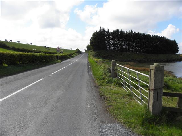 File:Rowreagh Road, Gransha - Geograph - 2907477.jpg