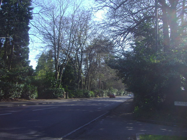 File:Old Woking Road, Pyrford - Geograph - 1249183.jpg