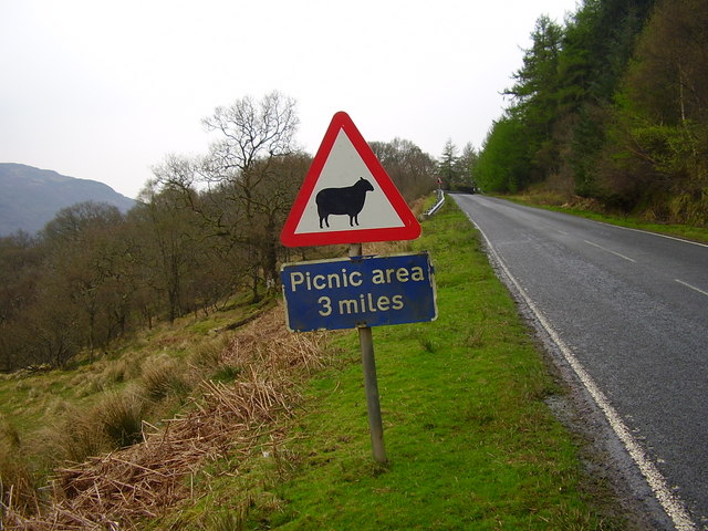 File:A8003 to Tighnabruaich - Geograph - 1192206.jpg