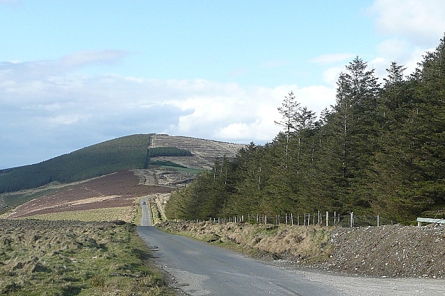 File:South Leinster Way - Geograph - 1254390.jpg