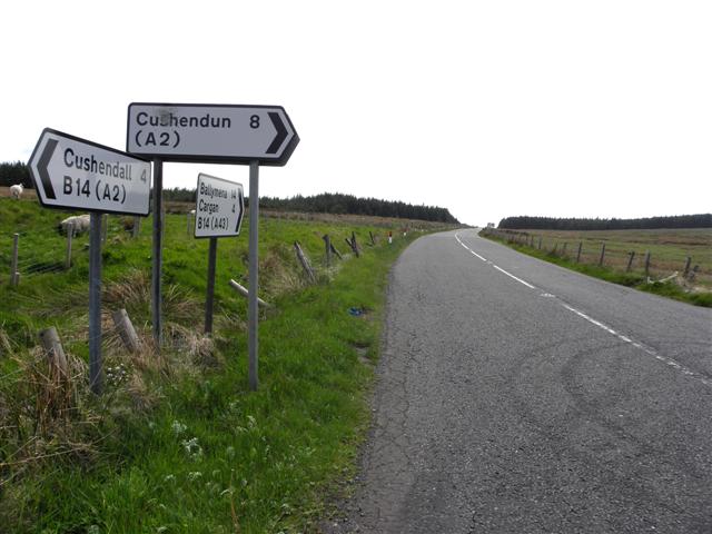 File:Ballyeamon Road - Geograph - 1900492.jpg