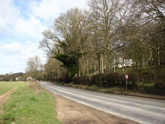 File:View north along the B1436 (Felbrigg Road) - Geograph - 715336.jpg
