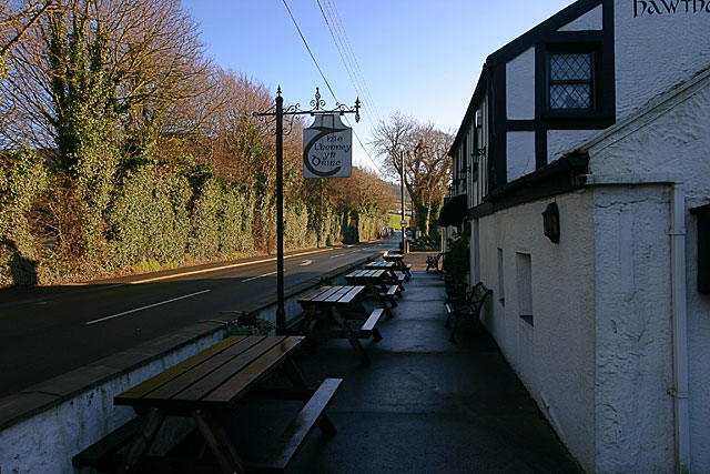 File:The Hawthorn (C) Andy Stephenson - Geograph - 105933.jpg