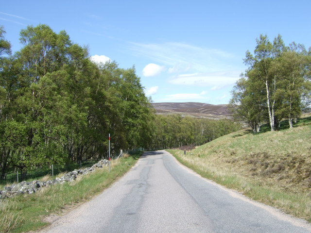 File:Trees beside B976 below Braenaloin - Geograph - 443021.jpg