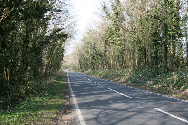 File:A424 at Wyck Hill.jpg