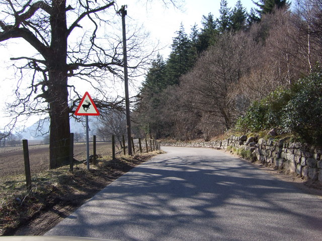 File:B972 heading towards the Pass of Ballater - Geograph - 377798.jpg