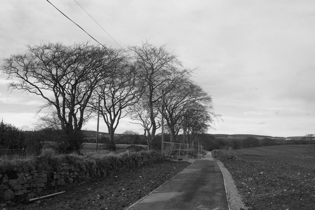 File:Howes Road cycle path - Geograph - 1195039.jpg