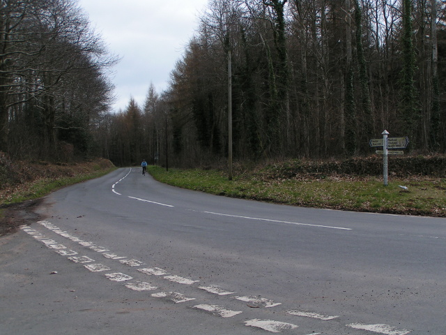 File:Road junction at Black Forest Lodge - Geograph - 1833065.jpg