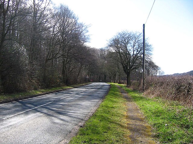 File:B1198 road looking towards Shincliffe - Geograph - 745763.jpg