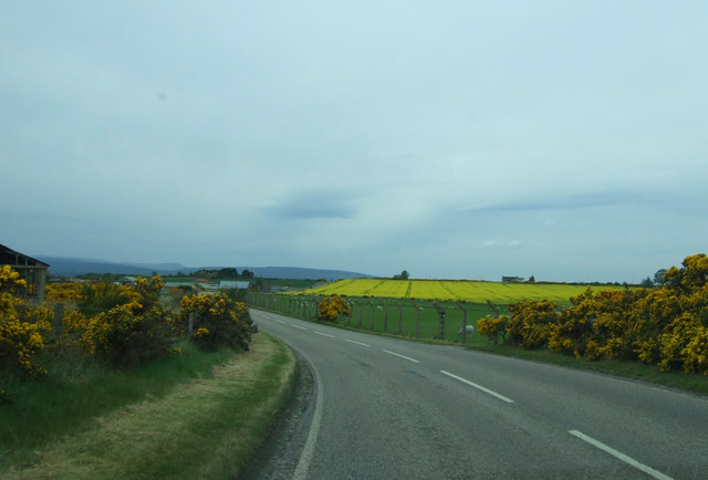 File:B9166 towards Hill of Fearn (C) JThomas - Geograph - 4032293.jpg