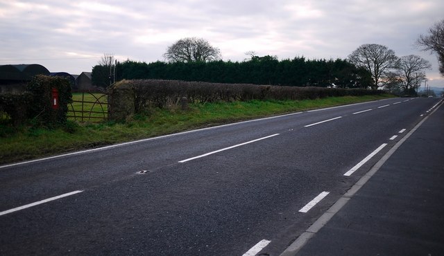 File:The Newtownards Road, Cottown - Geograph - 1695938.jpg