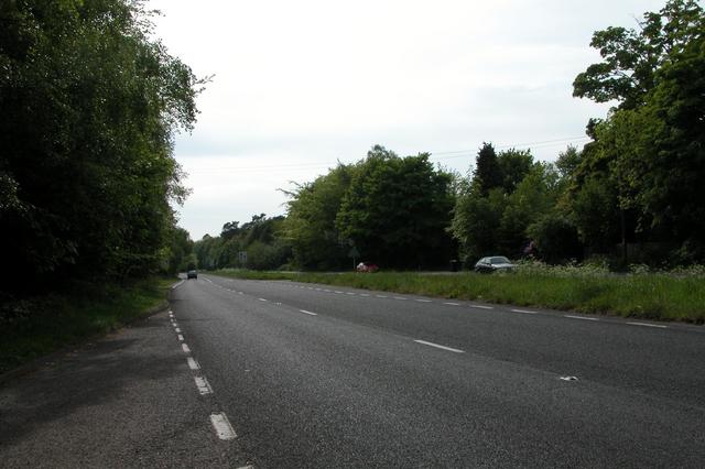 File:The old A3 dual carriageway - Geograph - 10892.jpg