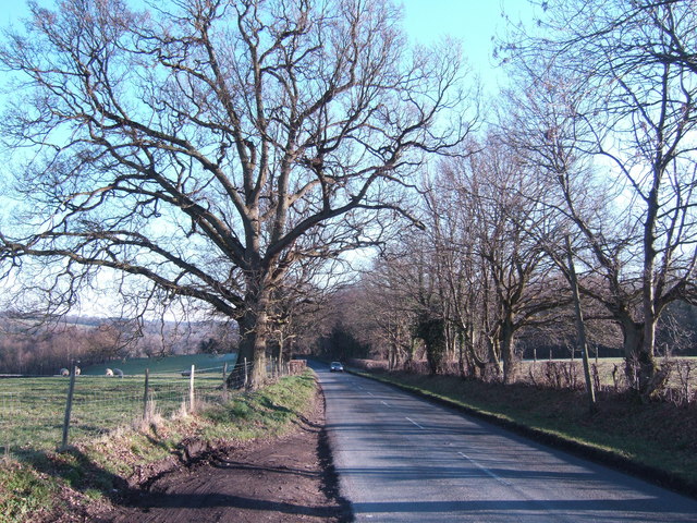 File:B2099 east of Ticehurst - Geograph - 333967.jpg