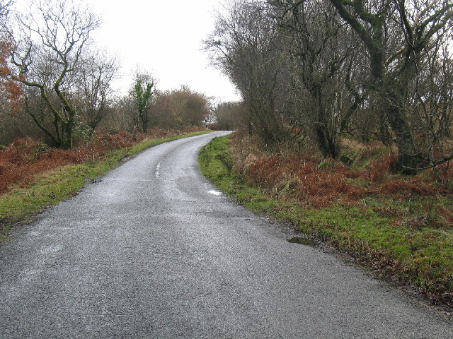 File:B842 east road Kintyre, looking south west - Geograph - 122268.jpg