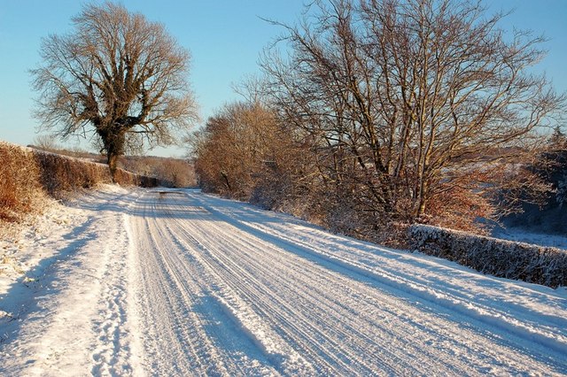File:A Snowy B741 Near Rowanston Farm - Geograph - 1650168.jpg