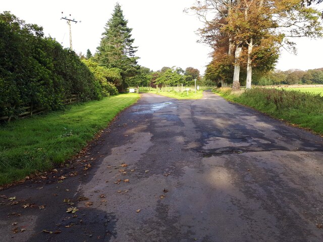 File:Road bifurcation at Hunterston castle - Geograph - 6621378.jpg