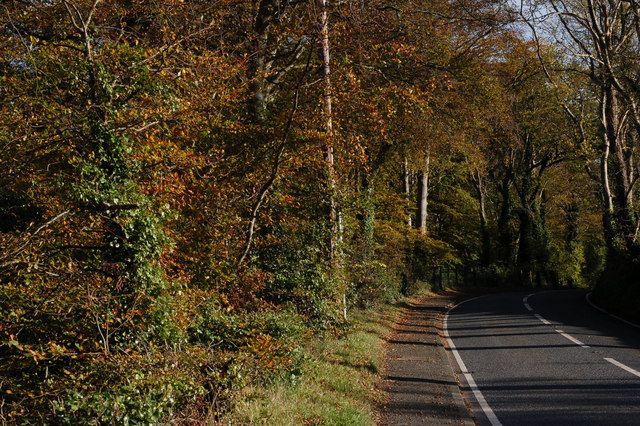 File:The Ballyrobert Road near Bangor - Geograph - 271433.jpg