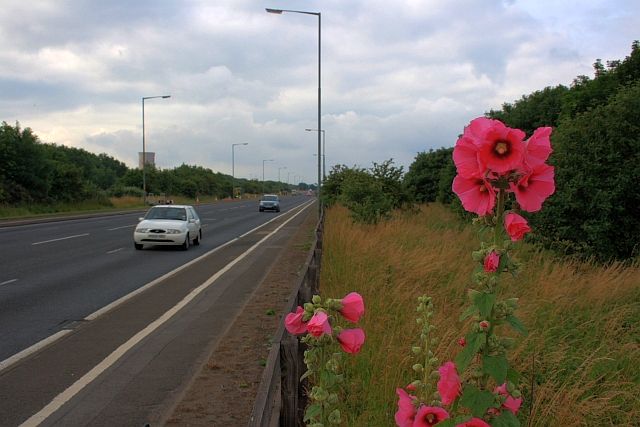 File:A1085 Trunk Road - Geograph - 1401714.jpg