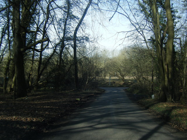 File:Bottrells Lane at Hills Wood - Geograph - 4868953.jpg