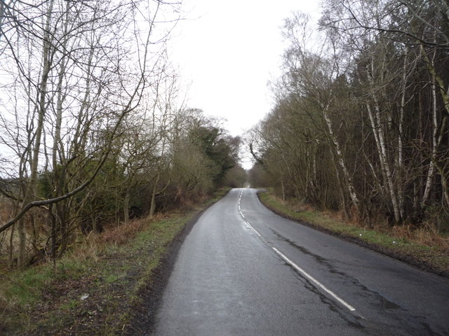 File:B607 towards Corbridge - Geograph - 4892049.jpg
