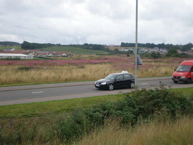 File:Green Fields between New Housing in Inverness - Geograph - 929452.jpg