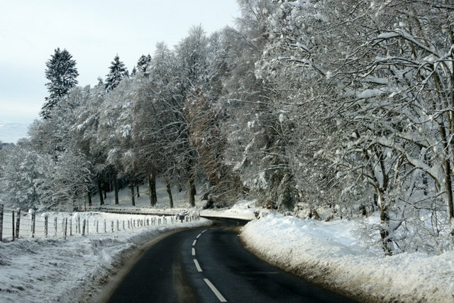 File:Snowy woodland east of Dunkeld - Geograph - 1642145.jpg