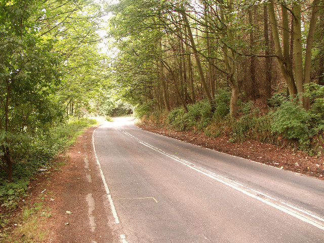 File:Bends for half a mile - Geograph - 42290.jpg