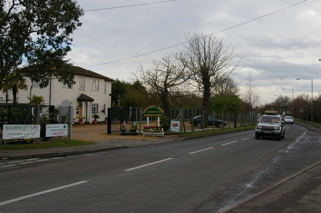 File:Chestnut Tree Farm - Geograph - 736272.jpg