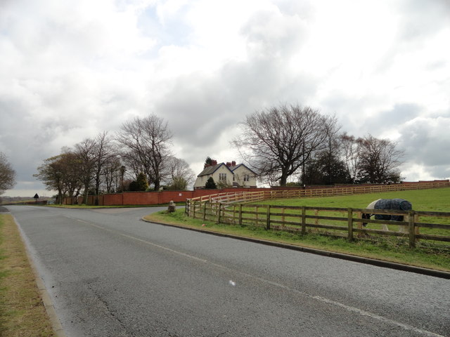File:Houses at Hetton le Hill - Geograph - 2913928.jpg