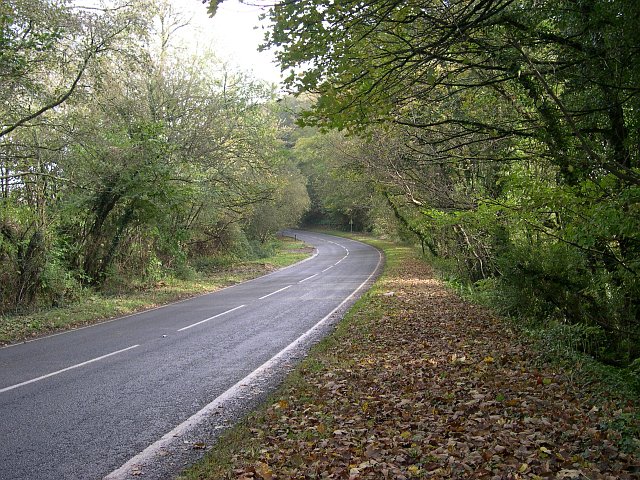 File:The A374 east of Sheviock - Geograph - 72411.jpg