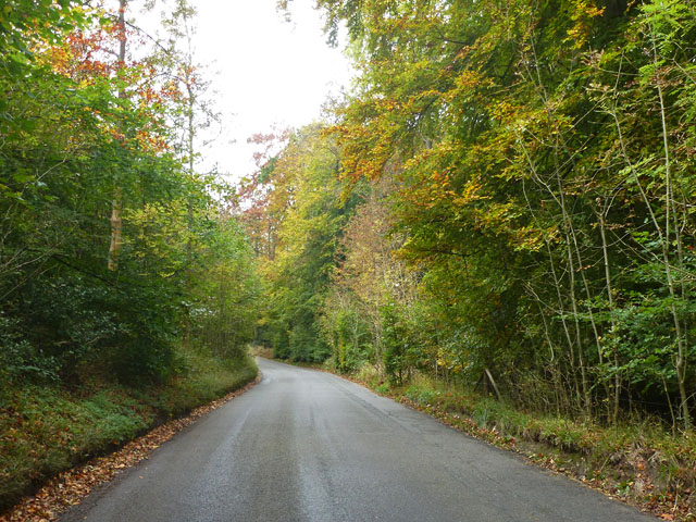 File:Glade Road - Geograph - 4705921.jpg