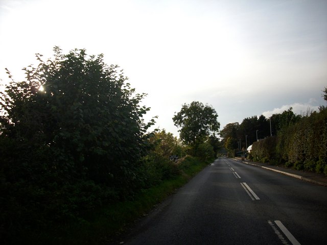 File:The B6361 between Newstead and Melrose - Geograph - 1003120.jpg