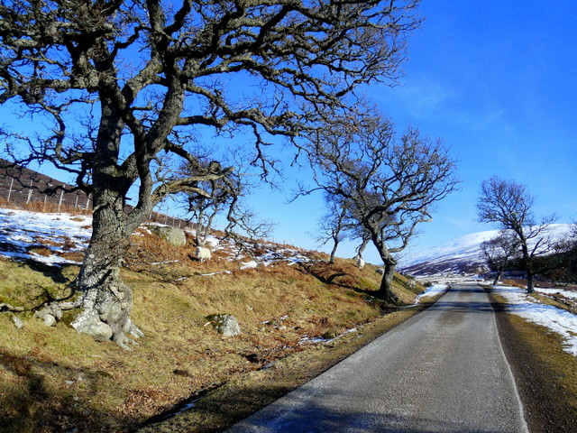 File:The A897 at Badiepullacher, Strath of... (C) sylvia duckworth - Geograph - 1750378.jpg