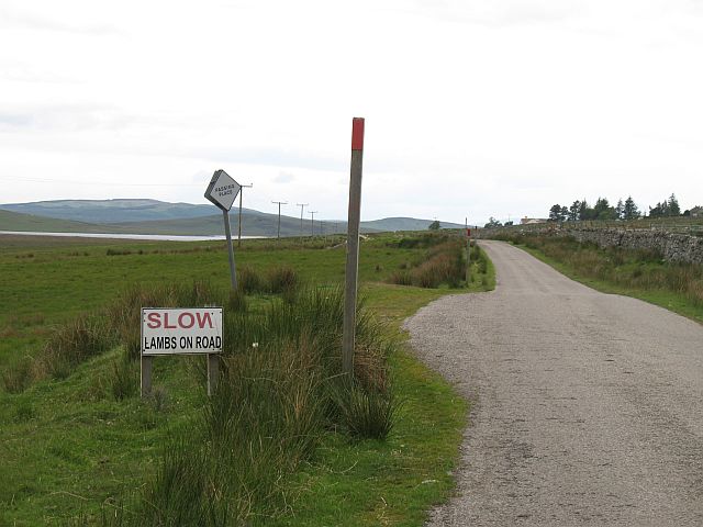 File:Passing place, B871 - Geograph - 855621.jpg