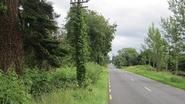 File:R395 nearing Castlepollard - Geograph - 3107595.jpg