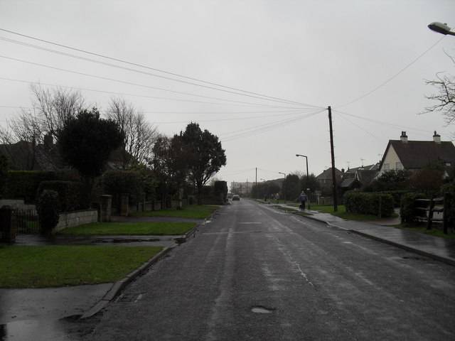 File:Walking the dog in Broadmark Lane - Geograph - 1671039.jpg