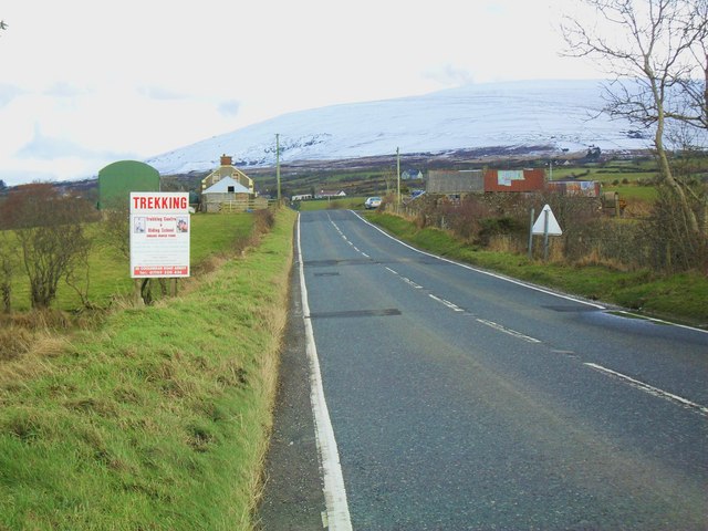 File:Hillside Road at Balleny - Geograph - 1728424.jpg