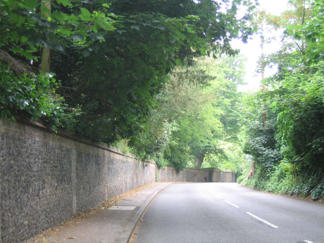 File:The old road through Mickleham - Geograph - 463800.jpg