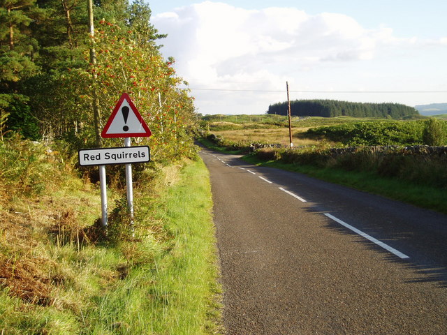 File:Watchout for Nutkin on the B7000! - Geograph - 553971.jpg