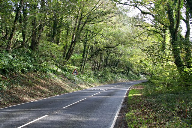 File:Main Road along the Looe Valley - Geograph - 270593.jpg