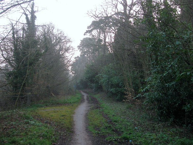 File:OldCourseofIsaacsLaneA273-Geograph-4423441.jpg