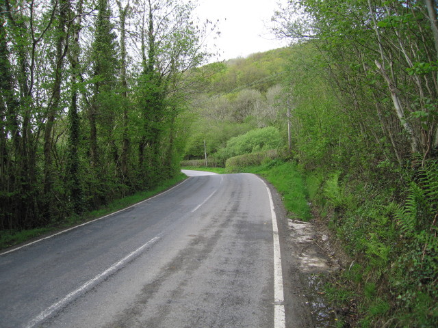 File:Woods above the road - Geograph - 1306182.jpg