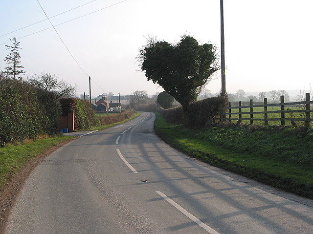 File:B4024 leaves Herefordshire - Geograph - 636468.jpg
