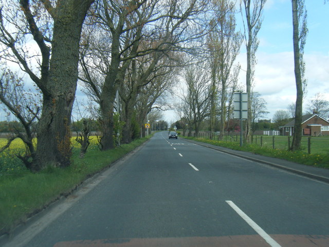 File:Halsall Road looking north (C) Colin Pyle - Geograph - 2920857.jpg