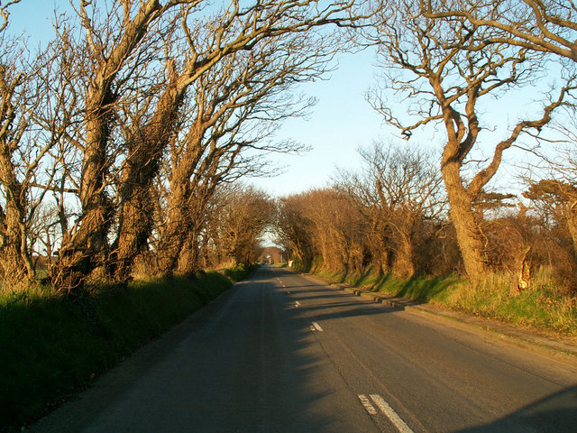 File:The Ballamona Straight or 'Mile Straight' - Geograph - 400103.jpg