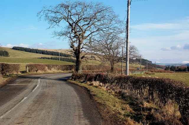 File:Roadside Trees - Geograph - 1716007.jpg